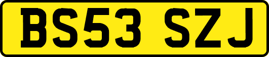 BS53SZJ