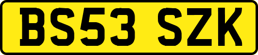 BS53SZK