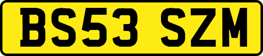BS53SZM