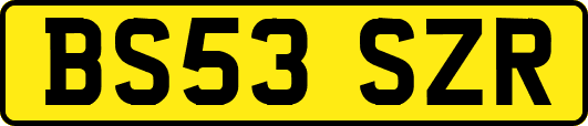 BS53SZR
