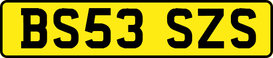 BS53SZS