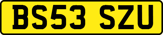 BS53SZU