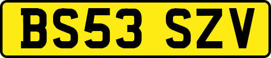 BS53SZV