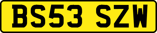BS53SZW