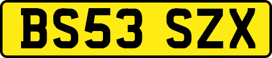 BS53SZX