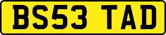 BS53TAD