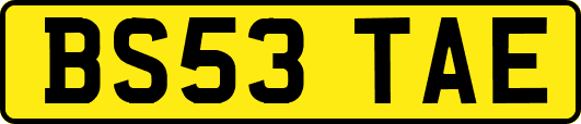 BS53TAE