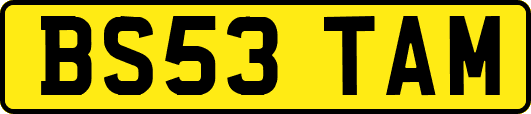 BS53TAM