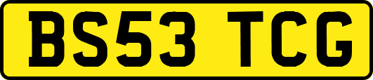 BS53TCG