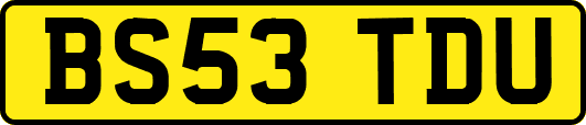 BS53TDU