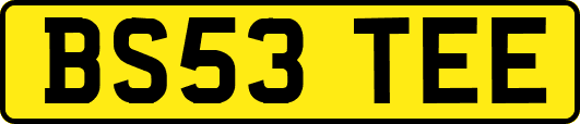 BS53TEE