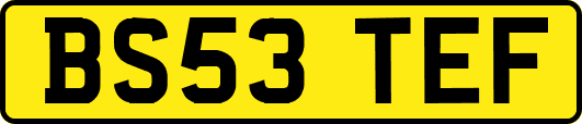 BS53TEF