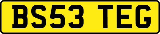 BS53TEG