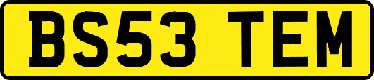 BS53TEM