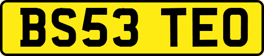 BS53TEO