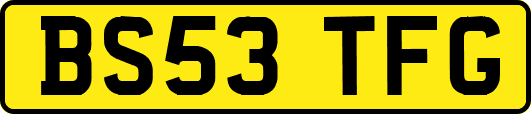BS53TFG