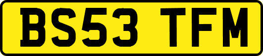 BS53TFM