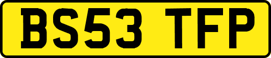 BS53TFP