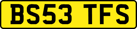 BS53TFS