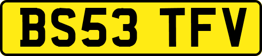 BS53TFV