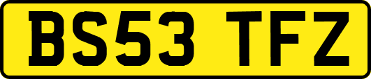 BS53TFZ