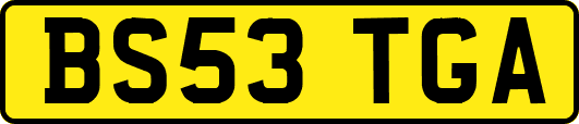 BS53TGA