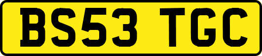 BS53TGC