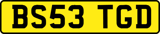 BS53TGD