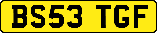 BS53TGF