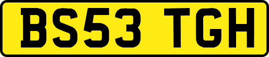 BS53TGH