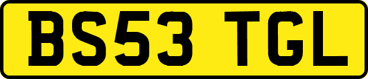BS53TGL