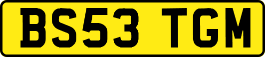BS53TGM