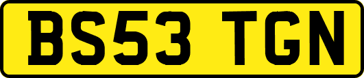 BS53TGN