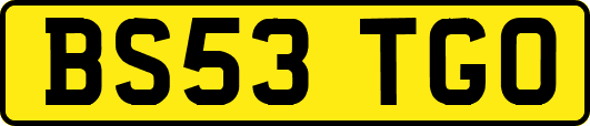 BS53TGO