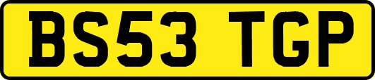 BS53TGP