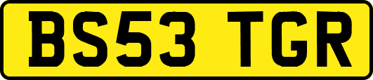 BS53TGR