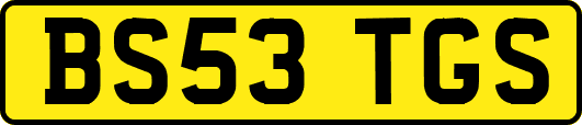 BS53TGS