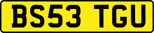 BS53TGU