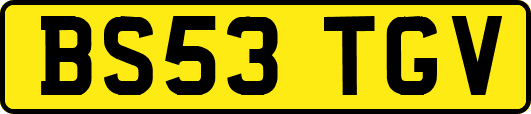 BS53TGV