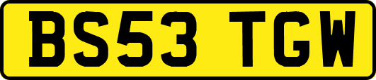 BS53TGW