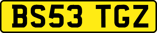BS53TGZ