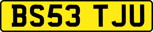 BS53TJU