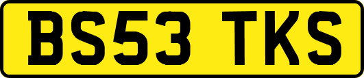 BS53TKS