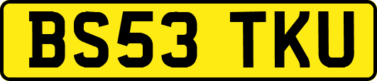 BS53TKU