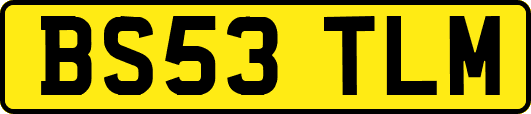 BS53TLM