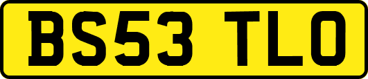 BS53TLO