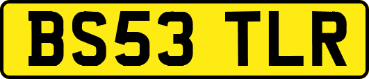 BS53TLR