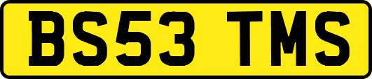 BS53TMS