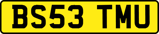 BS53TMU