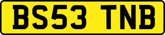 BS53TNB